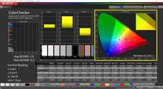 CalMAN ColorChecker (Profil: Native, målfärgrymd P3)