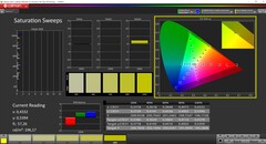 CalMAN-mättnad kalibrerad (TrueColor-profil: Display-P3)