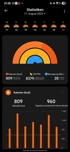 Xiaomi Smart Band 10 Aktivitet