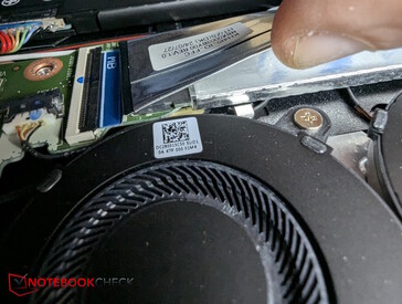 Dold SSD