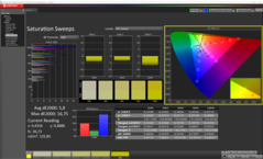 CalMAN - Färgmättnad (kalibrerad)