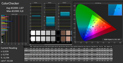 CalMAN - ColorChecker (efter kalibrering)