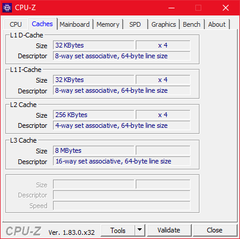 CPU-Z Cache