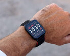 Venu X1 har fått flera nya funktioner med sin senaste betauppdatering. (Bildkälla: Garmin)