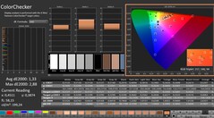CalMAN: ColorChecker (kalibrerad)