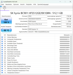 CrystalDiskInfo för HFS512GEJ9X108N