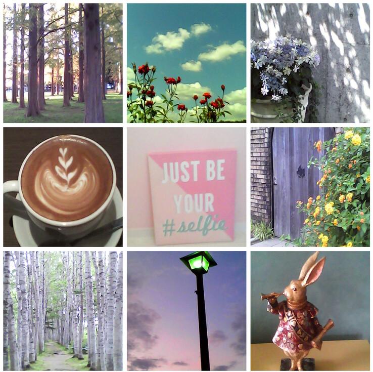 Exempel på bilder tagna med Kenko Tokina Pieni II leksakskamera. (Bildkälla: Kenko Tokina)