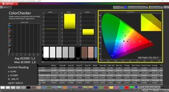 CalMAN ColorChecker kalibrerad (målfärgrymd P3)