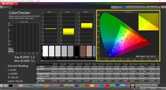 CalMAN ColorChecker (profil: sRGB, målfärgrymd: sRGB)