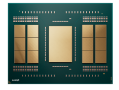 AMD Ryzen Threadripper Pro 9995WX har 12 beräkningsenheter på vardera sidan av I/O-sidan. (Bildkälla: AMD)