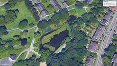 GPS-test: damm