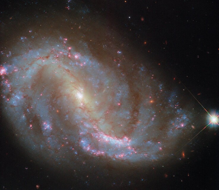 Hubble-bilden av NGC 7496 (Bildkälla: ESA/Hubble, NASA, R. Chandar, J. Lee och PHANGS-HST-teamet)