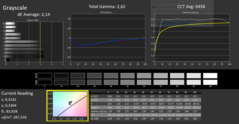 CalMan ColorChecker Gråskala (kalibrerad)