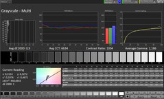CalMAN Grayscale – Extern skärm