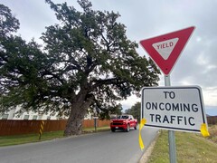 Eken Jolene på Old Stagecoach Road i Kyle Texas (Bildkälla: Maya Fawa/KUT News)
