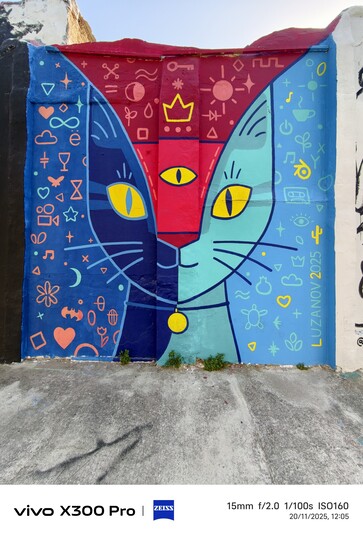 Vivo X300 Pro: Foto prov