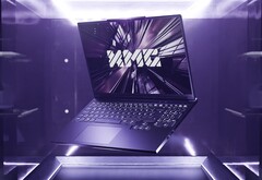 Fler instegsalternativ för budgetinriktade spelare. (Bildkälla: XMG)