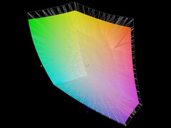 DisplayP3