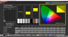 CalMAN ColorChecker (profil: sRGB, målfärgrymd: sRGB)