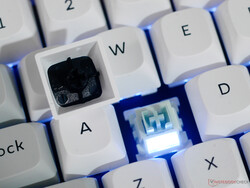 Keychron Q1 HE 8K bakgrundsbelysning för brytare