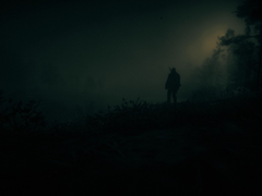 En skärmdump av Red Dead Redemption 2 som körs på PC (bildkälla: Steam Community)