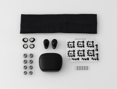 I lådan ingår fyra storlekar av skumspetsar, två stabiliseringsfenor och huvudbandet för skanningarna (Bildkälla: Final)