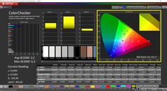 CalMAN ColorChecker (profil: Standard, målfärgrymd: P3)