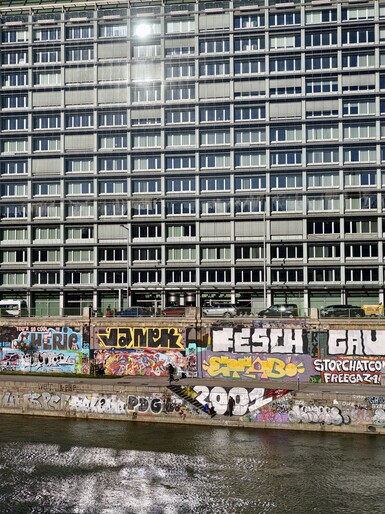 Vivo 50 mm beskärning från 35 mm huvudkamera.