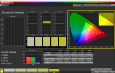 CalMAN mättnad kalibrerad