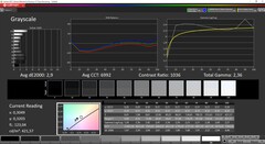 CalMan ColorChecker - Gråskalor