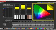 CalMAN ColorChecker (profil: Standard, målfärgrymd: P3)