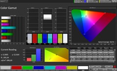 CalMAN färgrymd sRGB