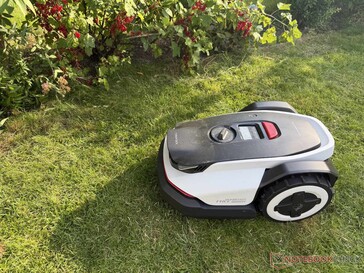Om det däremot hänger växter över gräsmattans kant kommer robotgräsklipparen att undvika dem med stor marginal.