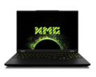 Användare kan förvänta sig ungefär samma prestanda som den mobila RTX 4090 från den mobila RTX 5080 (Bildkälla: Schenker)