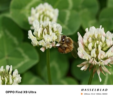 Oppo Find X9 Ultra - 10x.