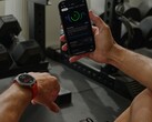 Amazfit's Balance 2 smartwatch (bilden) får ytterligare en uppdatering. (Bildkälla: Amazfit)