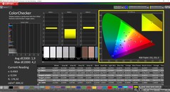 CalMAN ColorChecker (P3 målfärgrymd)