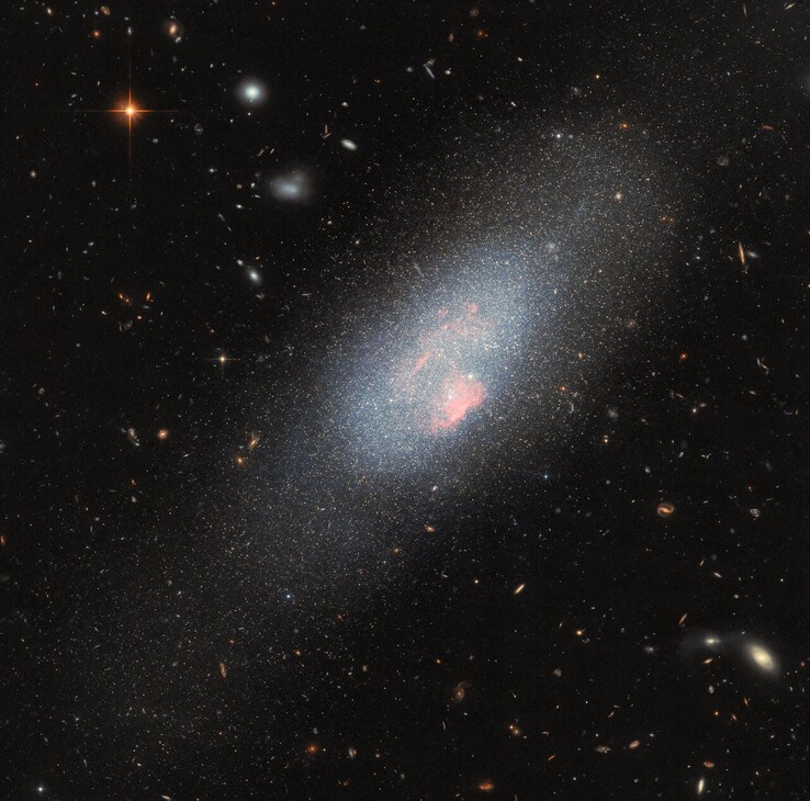 Hubble-bild av Markarian 178 (Bildkälla: ESA/Hubble, NASA, F. Annibali och S. Hong)