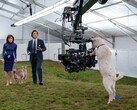För att uppnå seriens distinkta 70-talsinspirerade estetik kombinerades kamerahusen med Panavision C Series anamorfiska objektiv. (Bildkälla: Apple TV+)