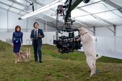 För att uppnå seriens distinkta 70-talsinspirerade estetik kombinerades kamerahusen med Panavision C Series anamorfiska objektiv. (Bildkälla: Apple TV+)