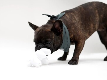 Tuggleksak i ”Dog Mode”