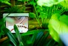 Recension av OnePlus Pad 4