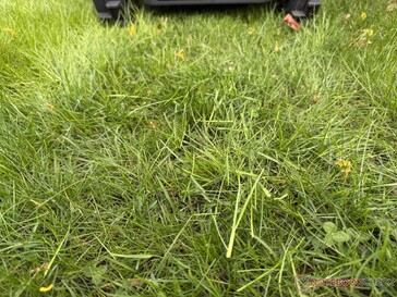 Airseekers Tron lämnar längre gräsklipp i testet...