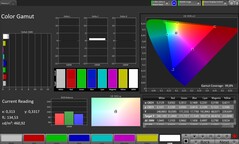 CalMAN-färgrymd – utomhusdisplay