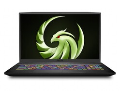 MSI Bravo 17 A4DDR. Recensionsex från MSI Germany.