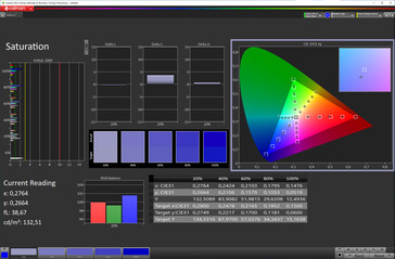 Färgmättnad (färgschema: Standard, färgtemperatur: Standard, målfärgrymd: sRGB)