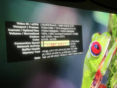 Streaming är inte riktigt genomförbart på OmniStar L80. Streaming av Costa Rica-videon vid 1080p60 resulterade i att nästan en tredjedel av bildrutorna tappades, vilket orsakade oöverskådlig stutter.
