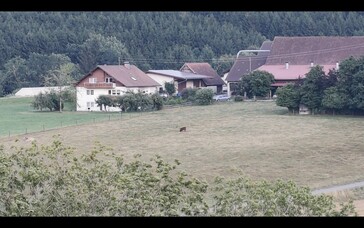 Samma motiv, 12x zoom