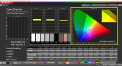 CalMAN ColorChecker (profil: kalibrerad, målfärgrymd: P3)