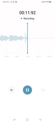 Den vanliga ljudinspelaren. (Bildkälla: Sergey Tarasov - Notebookcheck)
